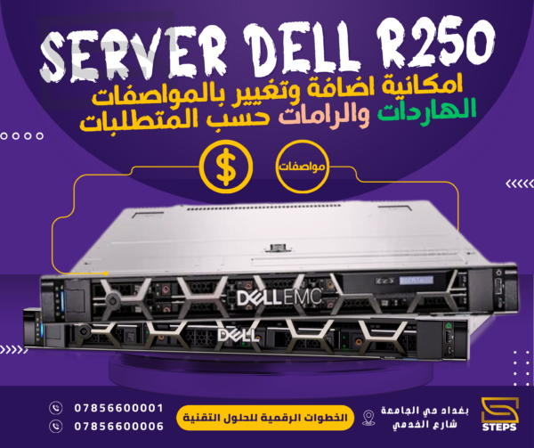 SERVER DELL R250
